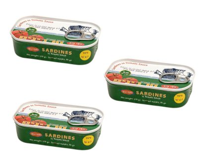 3X Sardines  in Tomato Sauce Kosher By Willi Food 110g  6-7 Pcs in Can For Discount