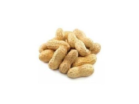 Peanuts in Shell Kosher Organic Vegan Natural Raw  Food Cook Snack F&F Fashion