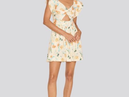 Renata Mini Dress Brule Multi Floral Fashion