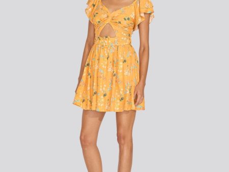 Renata Mini Dress Tangerine Multi Floral Online Hot Sale