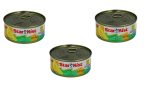 3x Starkist Can Chunk Light Tuna in Oil With Lemon Kosher Israeli Product 160g Online Hot Sale