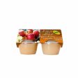 4x Tomer Apple & Cinnamon Sauce Sweetened Puree Kosher Food 113g Online Hot Sale