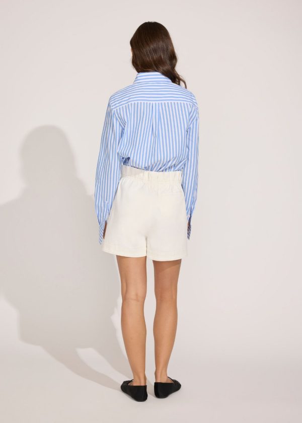 Lauren Button Down Shirt Blue and White Stripe Supply